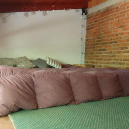 Casita En La Montana Lejlighed San Martín de los Andes Eksteriør billede