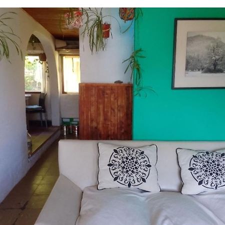 Casita En La Montana Lejlighed San Martín de los Andes Eksteriør billede